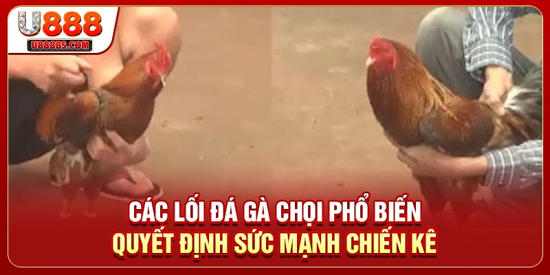Các Lối Đá Gà Chọi Phổ Biến Quyết Định Sức Mạnh Chiến Kê