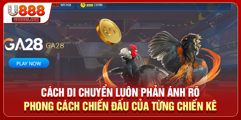 Cách di chuyển luôn phản ánh rõ phong cách chiến đấu của từng chiến kê