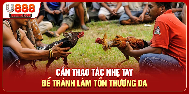 Cần thao tác nhẹ tay để tránh làm tổn thương da