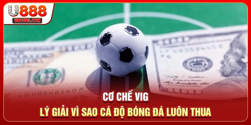 Cơ chế Vig lý giải vì sao cá độ bóng đá luôn thua