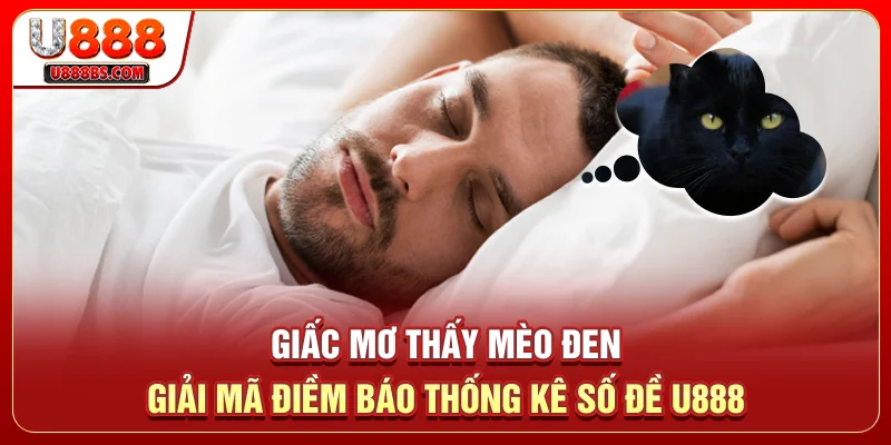 Giấc Mơ Thấy Mèo Đen - Giải Mã Điềm Báo, Thống Kê Số Đề U888