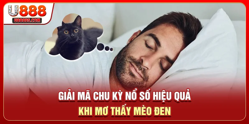 Giải mã chu kỳ nổ số hiệu quả khi mơ thấy mèo đen 