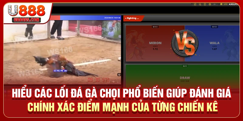 Hiểu các lối đá gà chọi phổ biến giúp đánh giá chính xác điểm mạnh của từng chiến kê