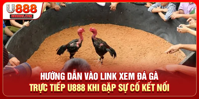 Hướng dẫn vào link xem đá gà trực tiếp U888 khi gặp sự cố kết nối