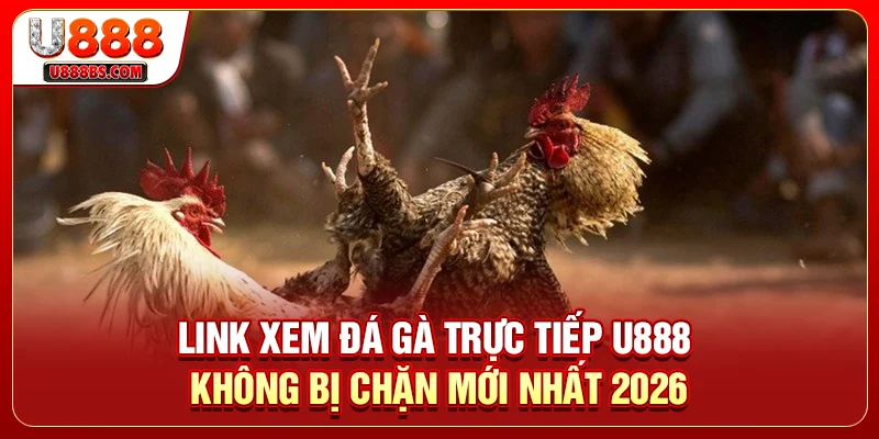 Link Xem Đá Gà Trực Tiếp U888 Không Bị Chặn Mới Nhất 2026