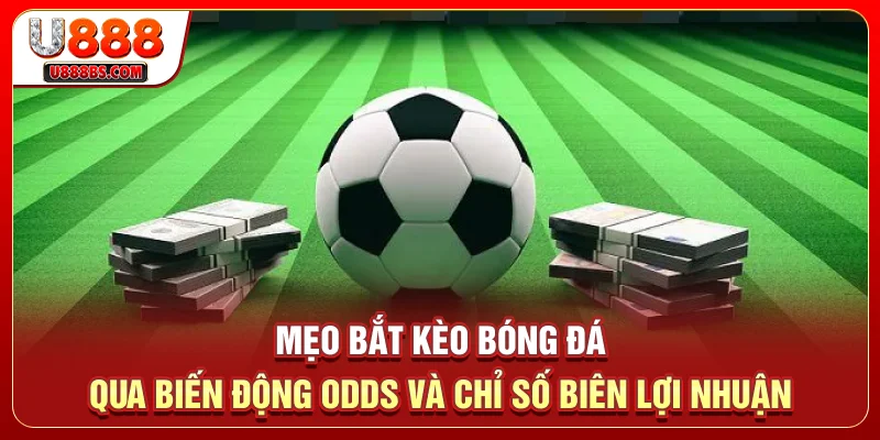 Mẹo bắt kèo bóng đá qua biến động Odds và chỉ số biên lợi nhuận