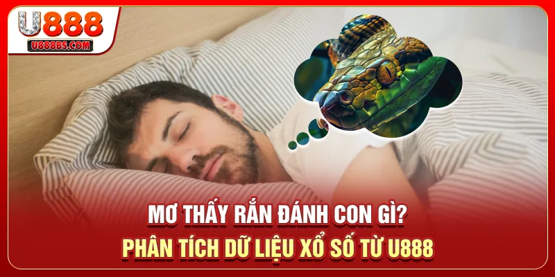 Mơ Thấy Rắn Đánh Con Gì? Phân Tích Dữ Liệu Xổ Số Từ U888
