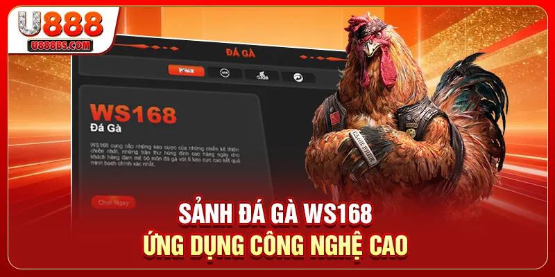 Sảnh đá gà WS168 ứng dụng công nghệ cao