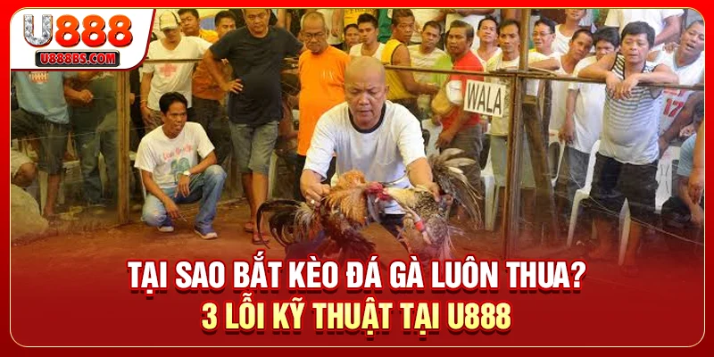 Tại Sao Bắt Kèo Đá Gà Luôn Thua? 3 Lỗi Kỹ Thuật Tại U888