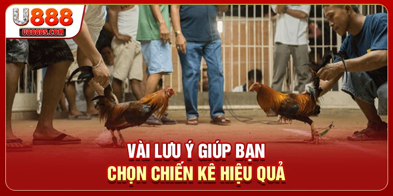 Vài lưu ý giúp bạn chọn chiến kê hiệu quả