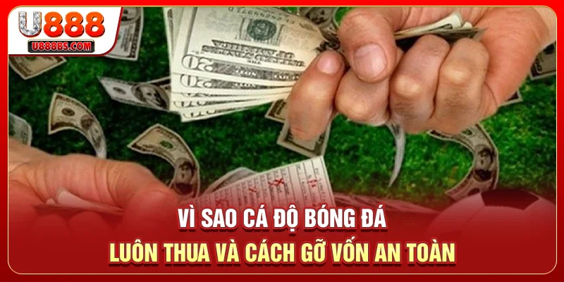 Vì Sao Cá Độ Bóng Đá Luôn Thua Và Cách Gỡ Vốn An Toàn